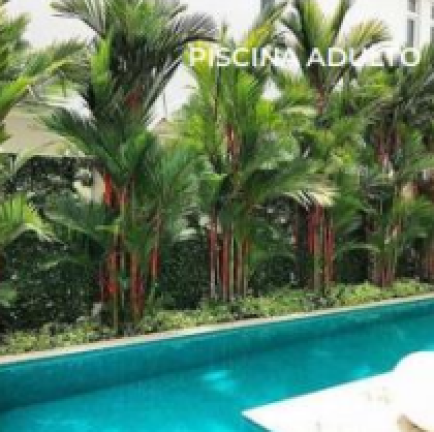 Imagem Apartamento com 2 Quartos à Venda, 42 m² em Água Branca - São Paulo
