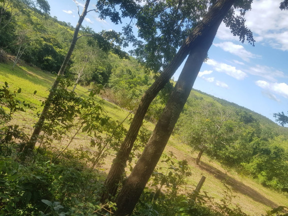 Imagem Fazenda à Venda, em Área Rural - Padre Bernardo Imagem Fazenda à Venda, em Área Rural - Padre Bernardo