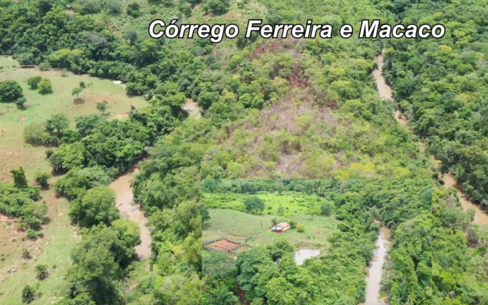 Imagem Fazenda à Venda, 54 Alq GOem Setor Central - Faina Imagem Fazenda à Venda, 54 Alq GOem Setor Central - Faina