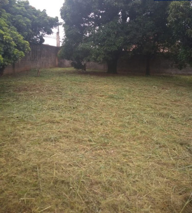 Imagem Terreno à Venda, 1.548 m² em Jardim Cocaia - Guarulhos Imagem Terreno à Venda, 1.548 m² em Jardim Cocaia - Guarulhos