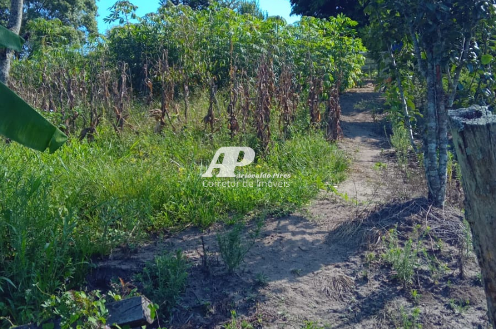 Imagem Chácara com 3 Quartos à Venda, 68 m²em San Martin - Ponta Grossa