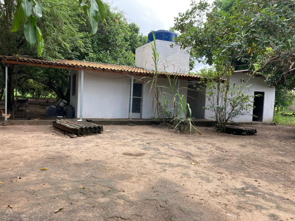 Imagem Imóvel com 5 Quartos à Venda, 400 m²em Murutuba - Cachoeira