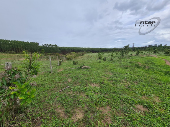 Imagem Fazenda à Venda, 24 HA em brazlandia - Brasília Imagem Fazenda à Venda, 24 HA em brazlandia - Brasília