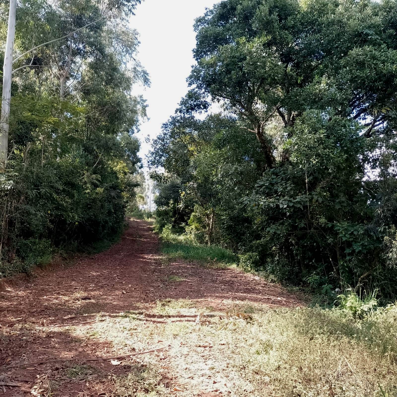 Imagem Chácara à Venda, 20.000 m² em Colinas - Poços de Caldas Imagem Chácara à Venda, 20.000 m² em Colinas - Poços de Caldas