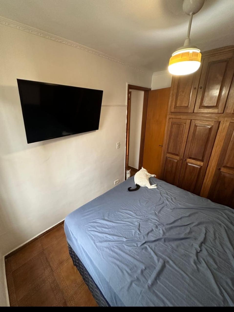 Imagem Apartamento com 2 Quartos à Venda, 52 m² em Jardim Celeste - São Paulo Imagem Apartamento com 2 Quartos à Venda, 52 m² em Jardim Celeste - São Paulo