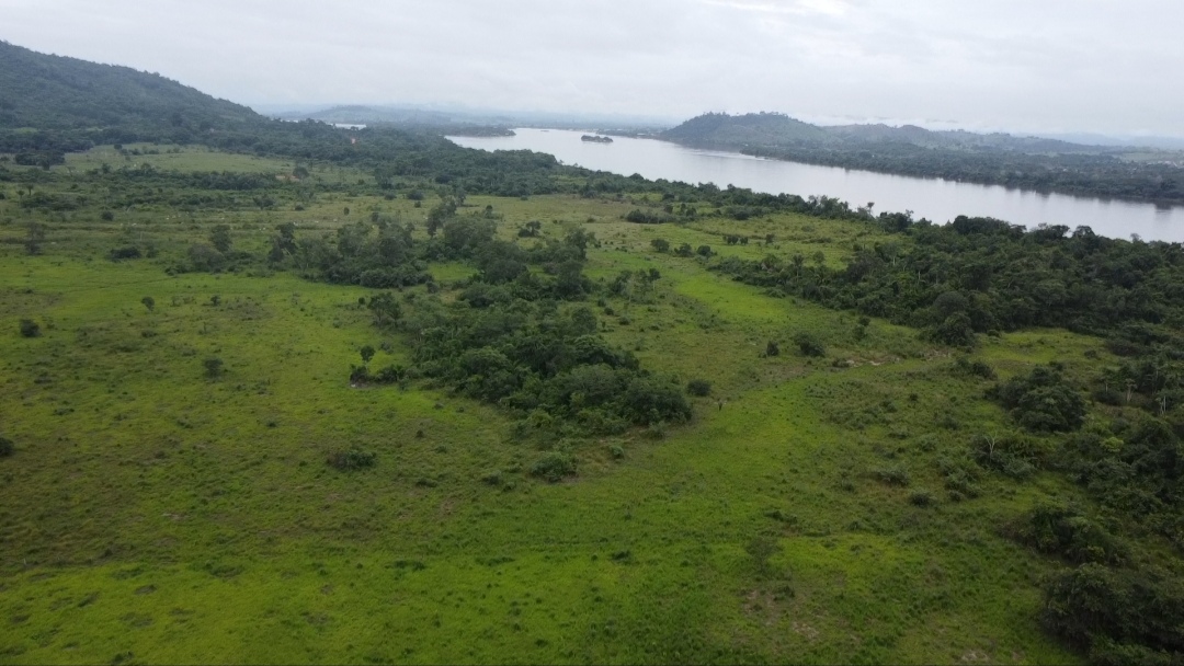 Imagem Fazenda à Venda, 90 m²em Centro - São Félix do Xingu