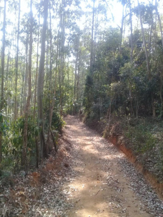 Imagem Terreno à Venda, 123.000 m² em Zona Rural - Santa Bárbara do Tugúrio Imagem Terreno à Venda, 123.000 m² em Zona Rural - Santa Bárbara do Tugúrio