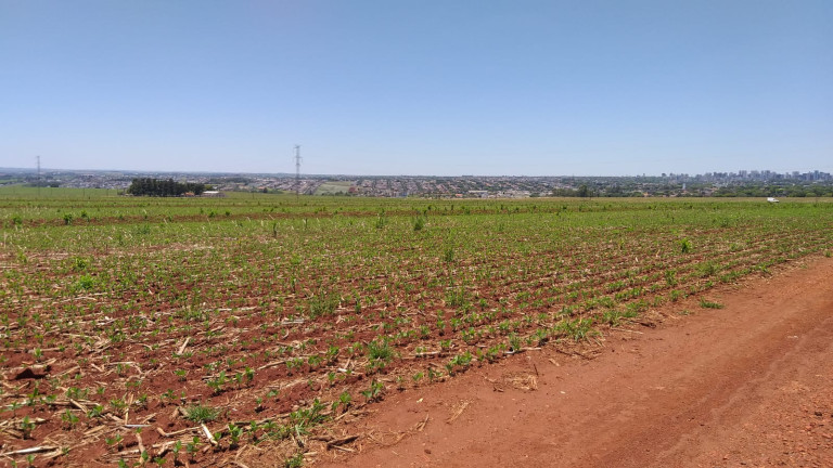 Imagem Fazenda à Venda,  em Gleba Ribeirão Maringá - Maringá