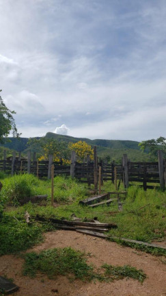 Imagem Chácara com 5 Quartos à Venda, em Centro - Simolândia Imagem Chácara com 5 Quartos à Venda, em Centro - Simolândia