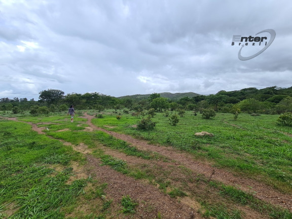Imagem Fazenda à Venda, 24 HA em brazlandia - Brasília Imagem Fazenda à Venda, 24 HA em brazlandia - Brasília