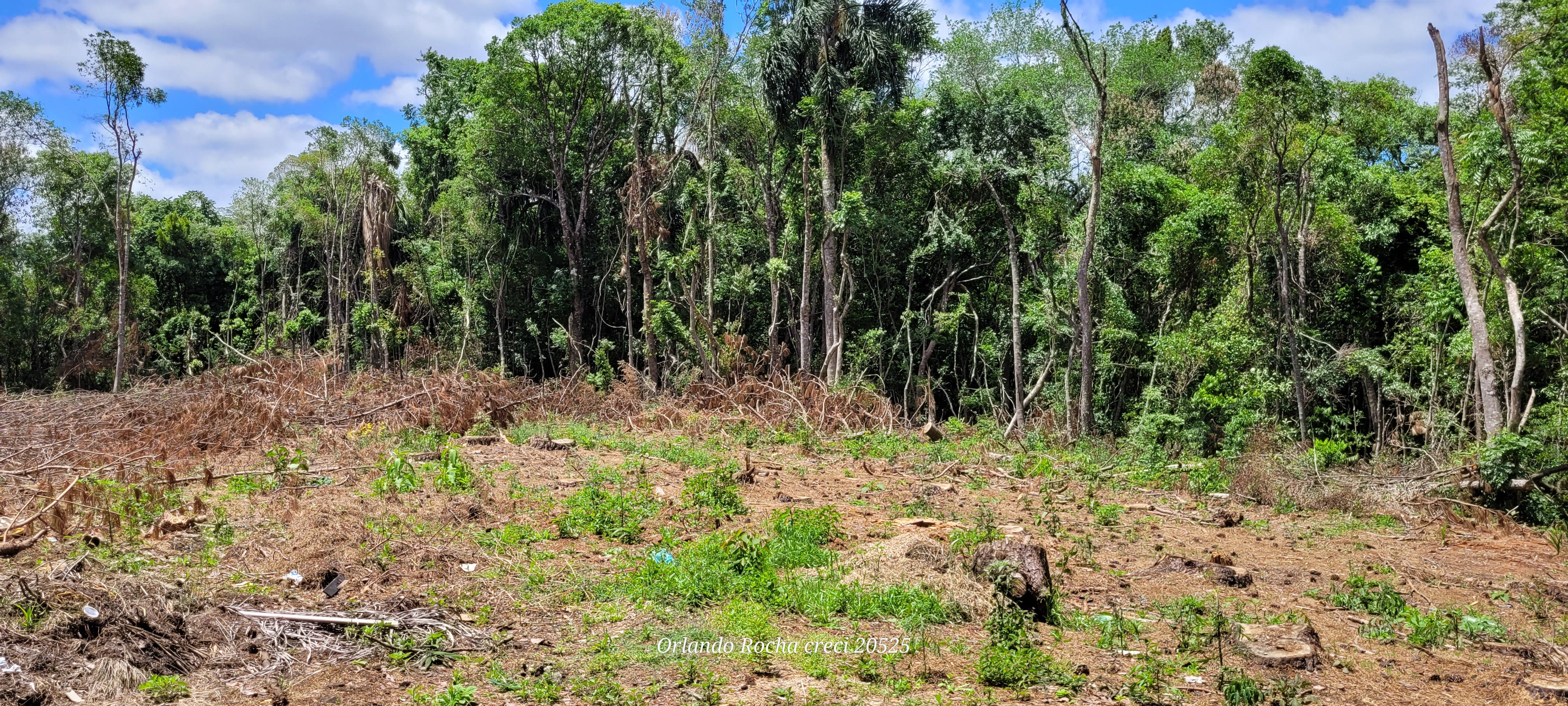 Imagem Terreno à Venda, 3 m²em São Miguel - Curitiba Imagem Terreno à Venda, 3 m²em São Miguel - Curitiba