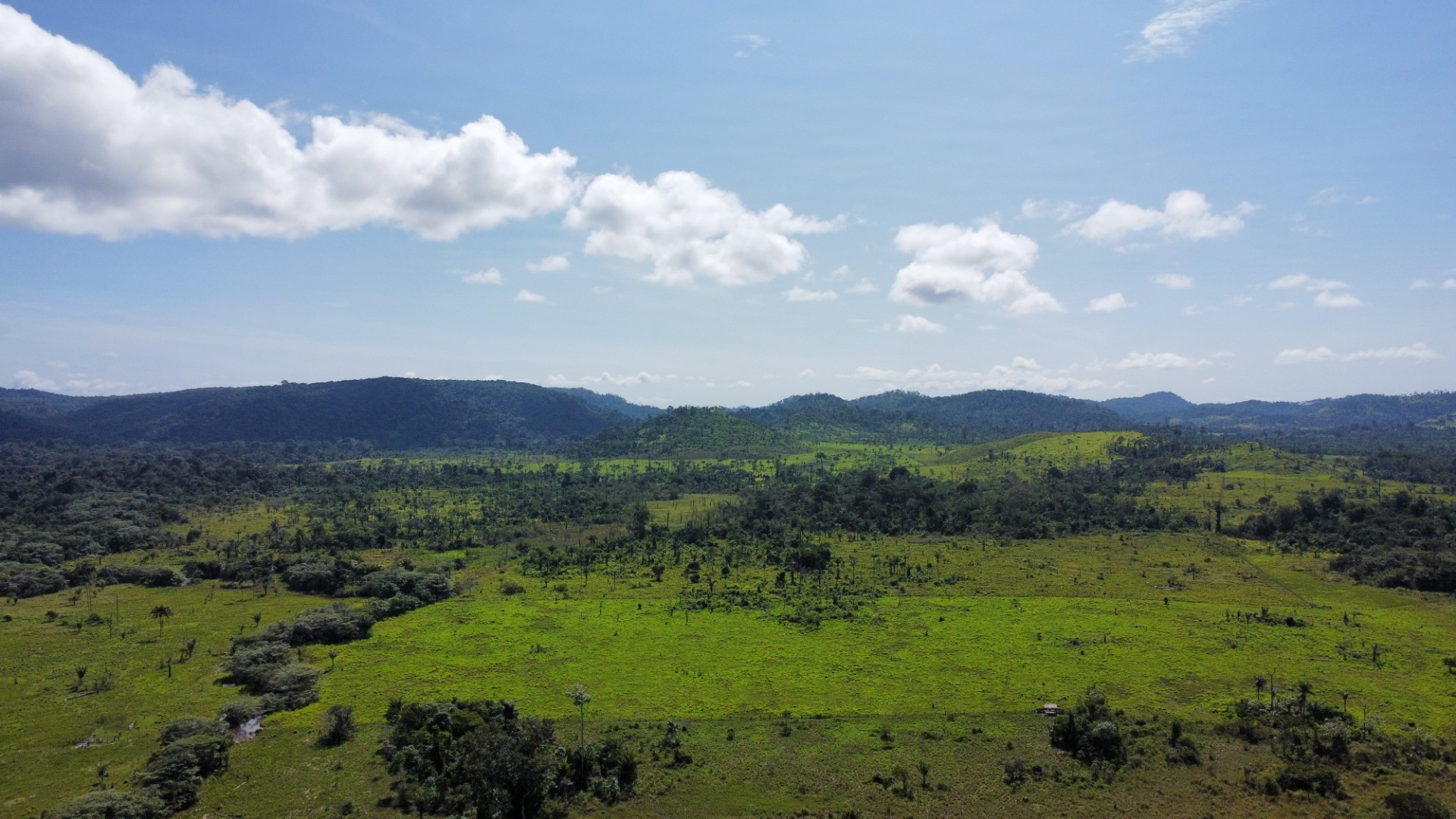 Imagem Fazenda à Venda, 900 Alq MGem Centro - São Félix do Xingu Imagem Fazenda à Venda, 900 Alq MGem Centro - São Félix do Xingu