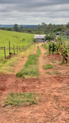 Imagem Chácara com 3 Quartos à Venda,  em Centro - Presidente Castelo Branco