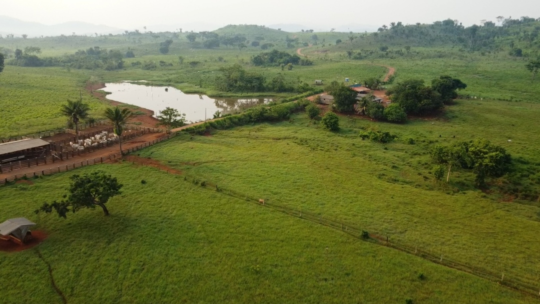 Imagem Fazenda à Venda, 1 m²em Centro  - São Félix do Xingu