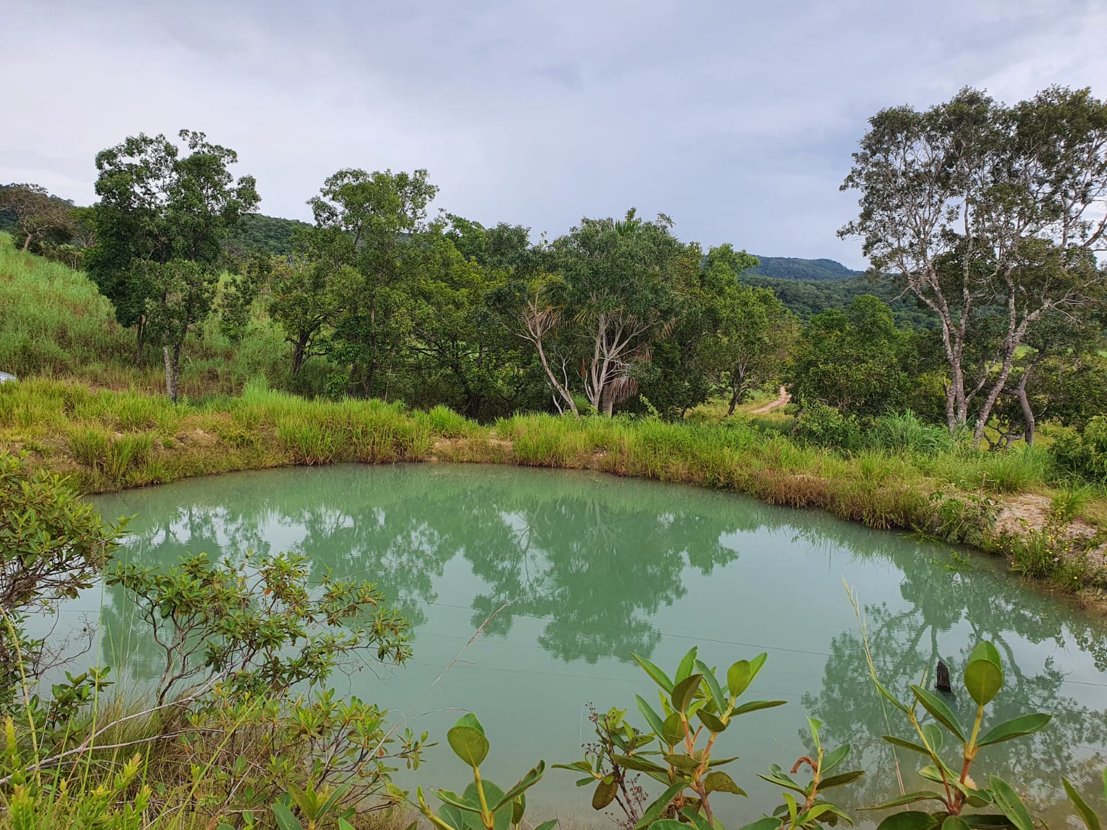 Imagem Fazenda à Venda, 136 Alq GOem ZONA RURAL - Crixás Imagem Fazenda à Venda, 136 Alq GOem ZONA RURAL - Crixás