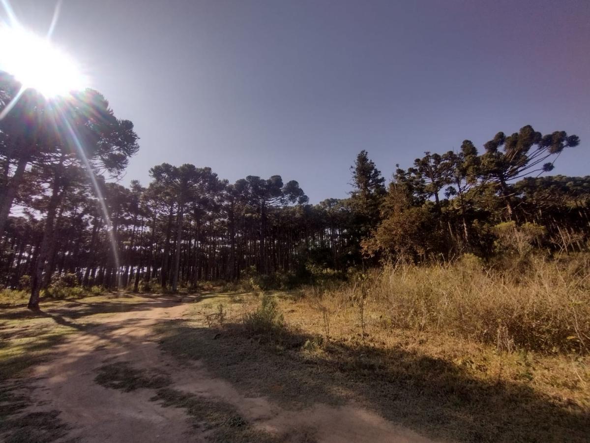 Imagem Terreno à Venda, 8 m²em Vila Aparecida - Salesópolis Imagem Terreno à Venda, 8 m²em Vila Aparecida - Salesópolis