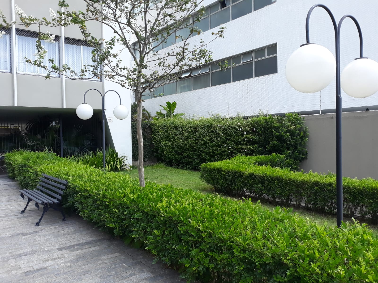 Imagem Apartamento com 3 Quartos à Venda, 214 m² em Morro dos Ingleses - São Paulo Imagem Apartamento com 3 Quartos à Venda, 214 m² em Morro dos Ingleses - São Paulo