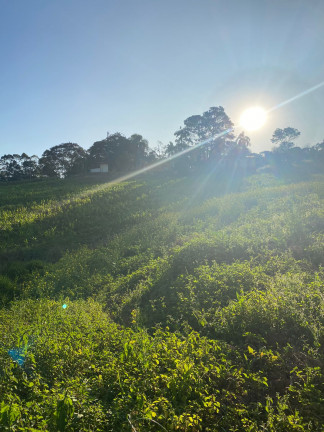 Imagem Chácara à Venda, 1.000 m² em Votora Curral Paruru - Ibiúna Imagem Chácara à Venda, 1.000 m² em Votora Curral Paruru - Ibiúna