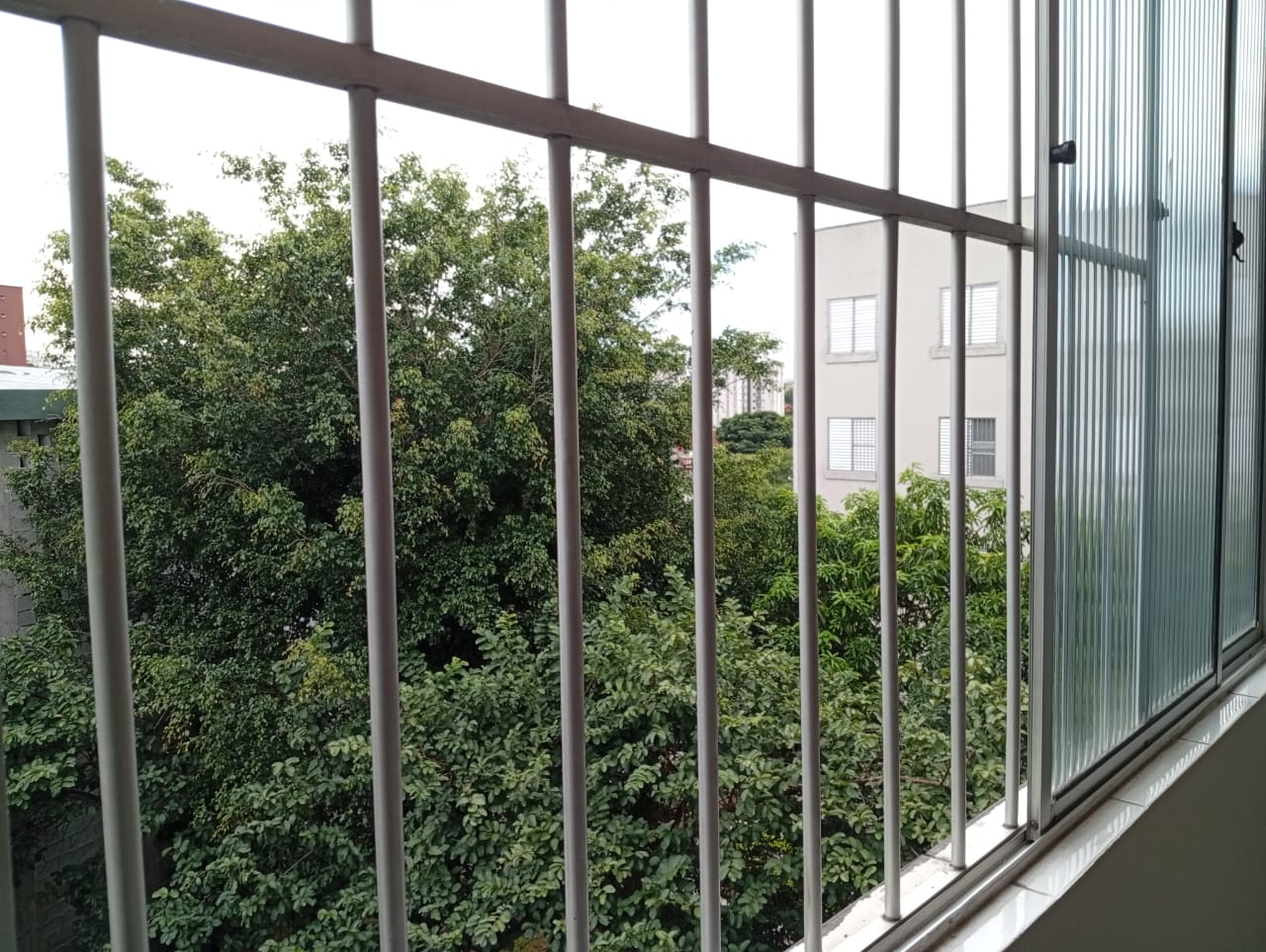 Imagem Apartamento com 2 Quartos à Venda, 52 m² em Jardim Brasília - São Paulo Imagem Apartamento com 2 Quartos à Venda, 52 m² em Jardim Brasília - São Paulo