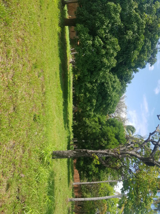 Imagem Terreno à Venda, 15.300 m² em Arçagy - São José de Ribamar