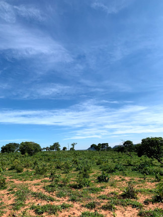 Imagem Fazenda à Venda, 911 HAem ZONA RURAL - Guiratinga