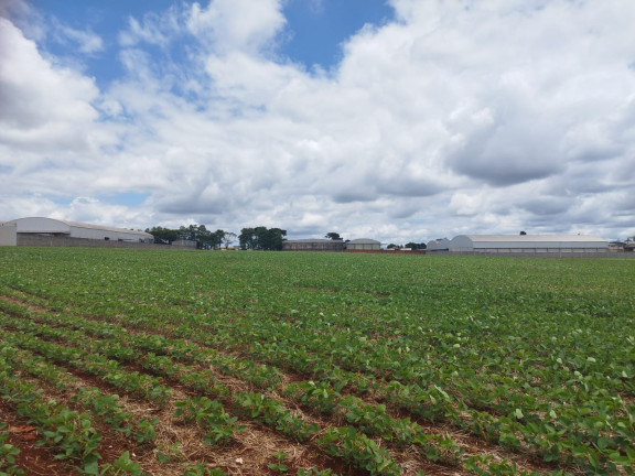 Imagem Terreno à Venda, em Vila Industrial - Arapongas Imagem Terreno à Venda, em Vila Industrial - Arapongas