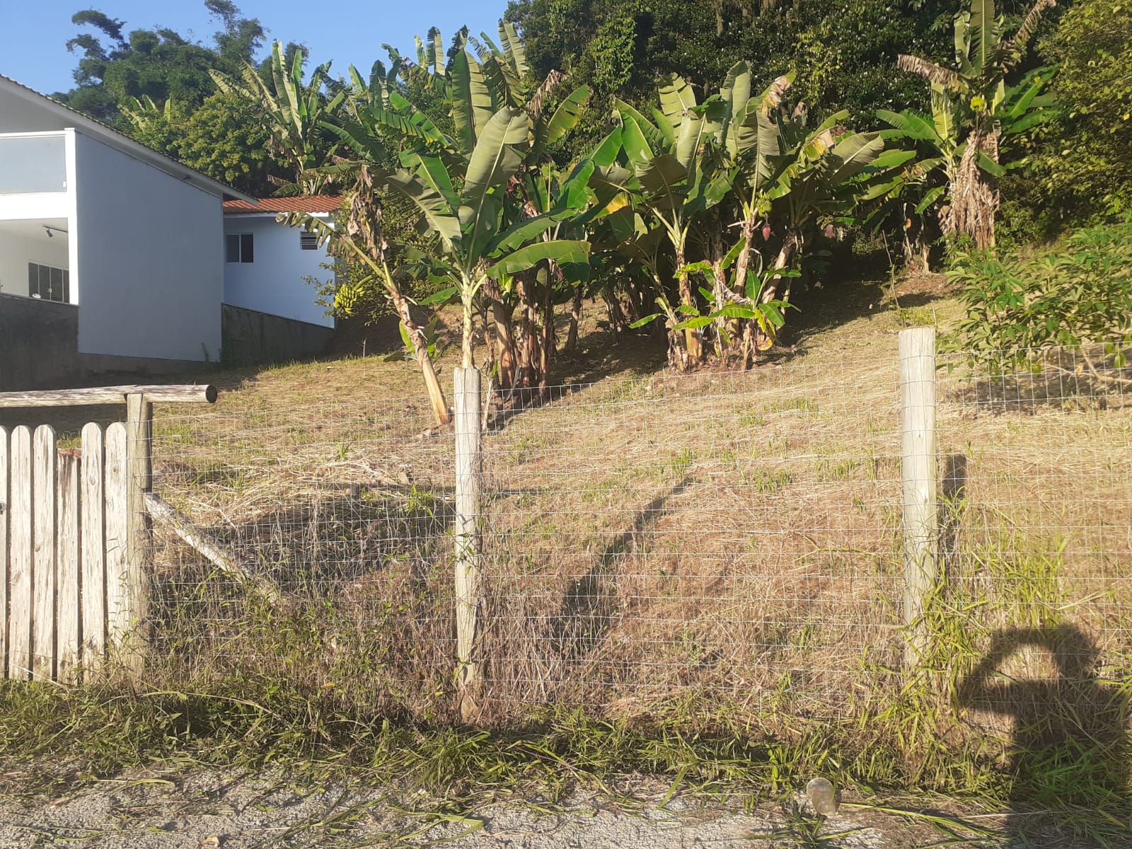 Imagem Terreno à Venda, 600 m² em Vargem Pequena - Florianópolis
