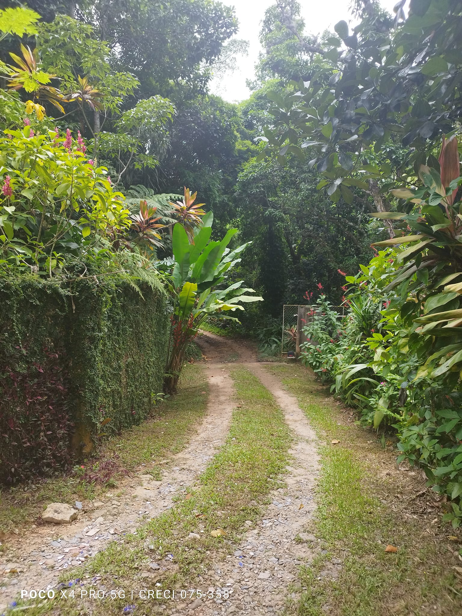 Imagem Chácara com 6 Quartos à Venda, 8 m²em Jacarepaguá - Rio de Janeiro Imagem Chácara com 6 Quartos à Venda, 8 m²em Jacarepaguá - Rio de Janeiro