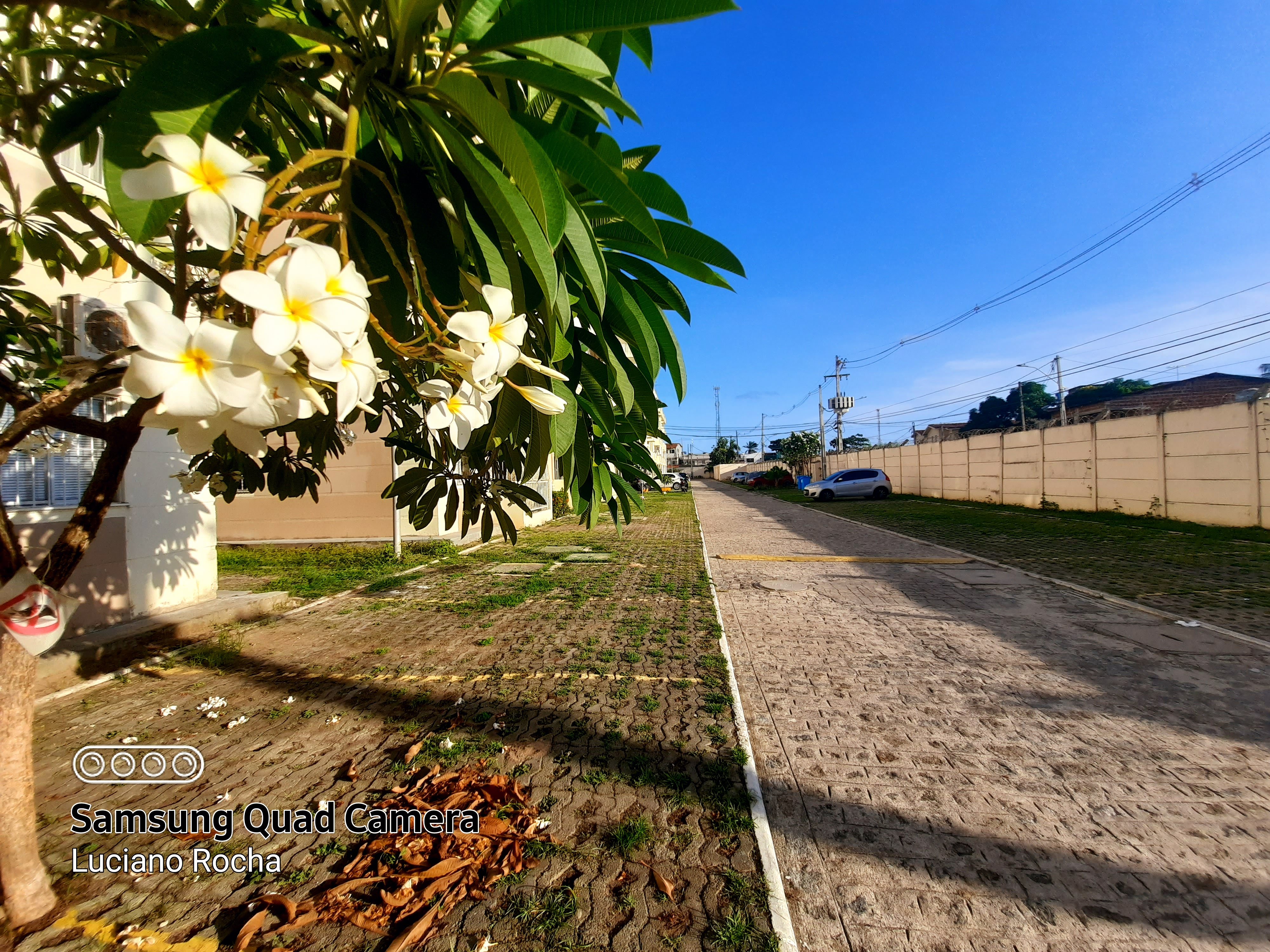 Imagem Apartamento com 3 Quartos para Alugar, 60 m²em Candeias - Jaboatão dos Guararapes Imagem Apartamento com 3 Quartos para Alugar, 60 m²em Candeias - Jaboatão dos Guararapes