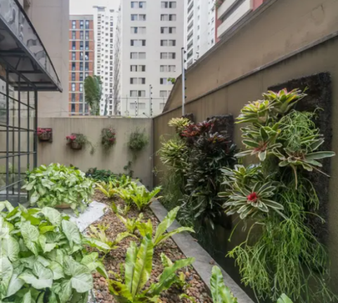 Imagem Apartamento com 2 Quartos à Venda, em Vila Uberabinha - São Paulo Imagem Apartamento com 2 Quartos à Venda, em Vila Uberabinha - São Paulo