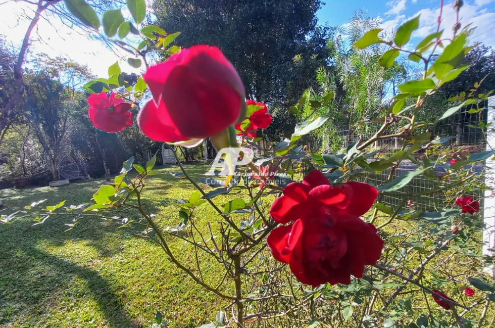 Imagem Chácara com 7 Quartos à Venda ou Temporada, 6 m²em Guarauna - Teixeira Soares