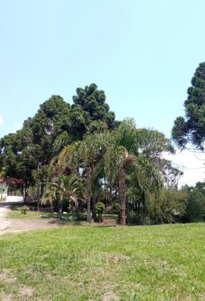 Imagem Chácara com 2 Quartos à Venda, 12.350 m² em RIBEIRÃOZINHO - Agudos do Sul Imagem Chácara com 2 Quartos à Venda, 12.350 m² em RIBEIRÃOZINHO - Agudos do Sul