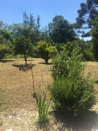 Imagem Chácara com 4 Quartos à Venda, 6.400 m² em RIO DA VARZEA - Agudos do Sul