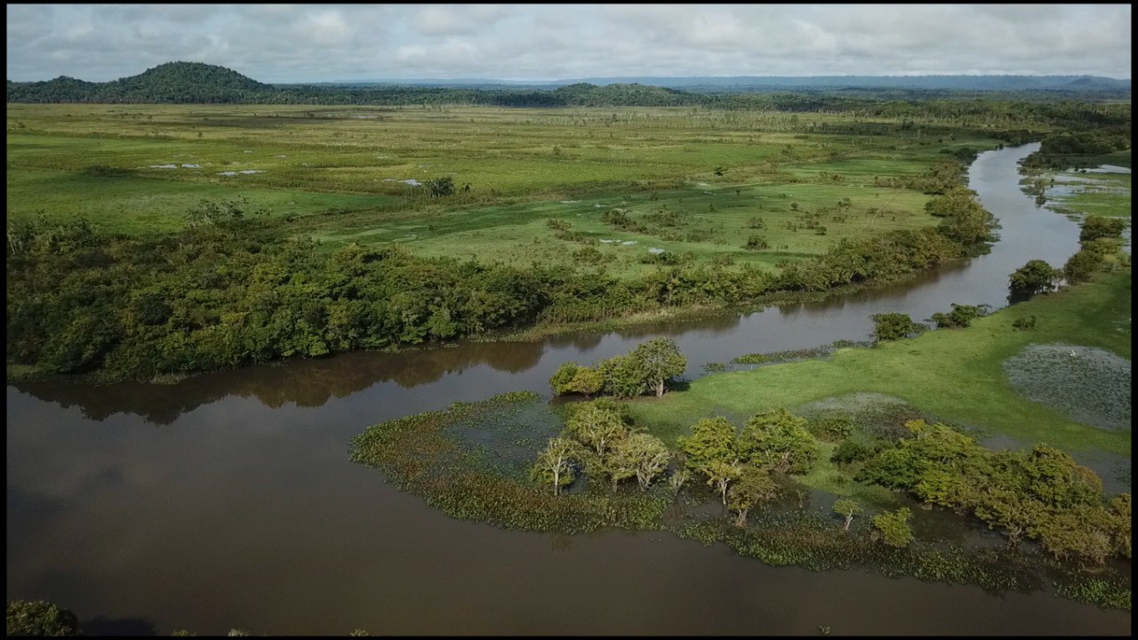Imagem Fazenda à Venda, 22 HAem rural - Almeirim Imagem Fazenda à Venda, 22 HAem rural - Almeirim