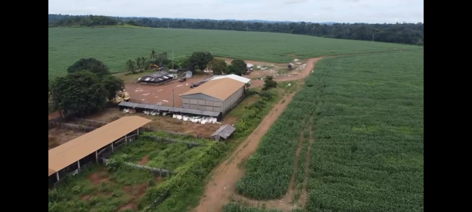 Imagem Fazenda à Venda, 4 HAem ZONA RURAL - Novo Progresso Imagem Fazenda à Venda, 4 HAem ZONA RURAL - Novo Progresso