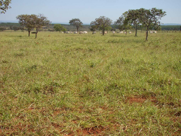 Imagem Fazenda à Venda, em zona rural - Engenheiro Navarro Imagem Fazenda à Venda, em zona rural - Engenheiro Navarro