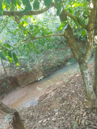 Imagem Fazenda à Venda, em Área Rural - Padre Bernardo Imagem Fazenda à Venda, em Área Rural - Padre Bernardo