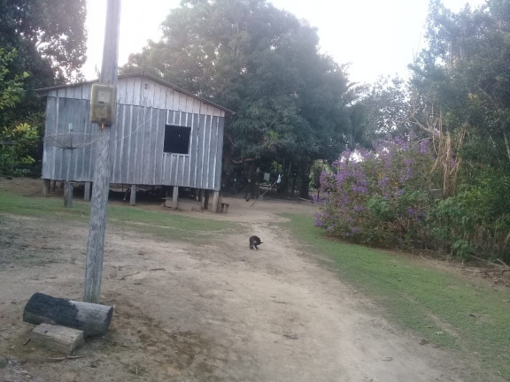 Terreno à Venda,  em Zona Rural - Humaitá