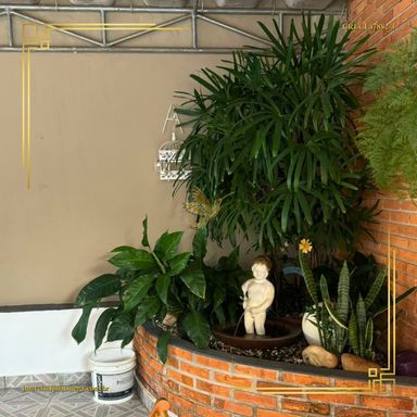 Imagem Casa com 3 Quartos à Venda, 186 m² em Vila Sonia - Botucatu