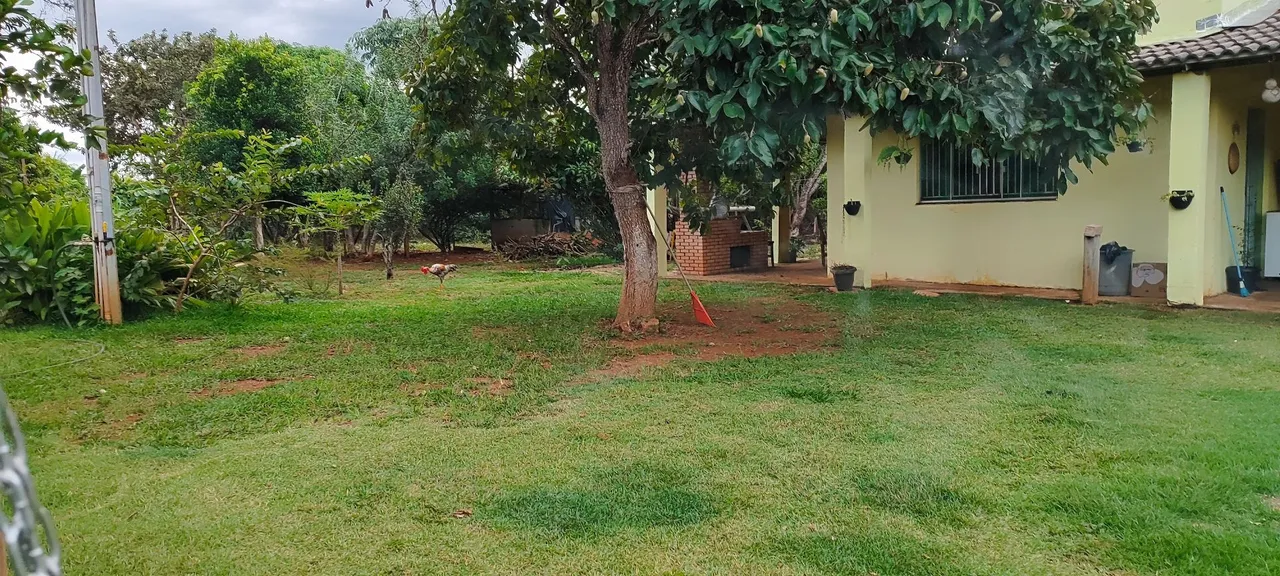 Imagem Chácara com 4 Quartos à Venda, 5.000 m² em Chácaras Marajoara - Luziânia Imagem Chácara com 4 Quartos à Venda, 5.000 m² em Chácaras Marajoara - Luziânia