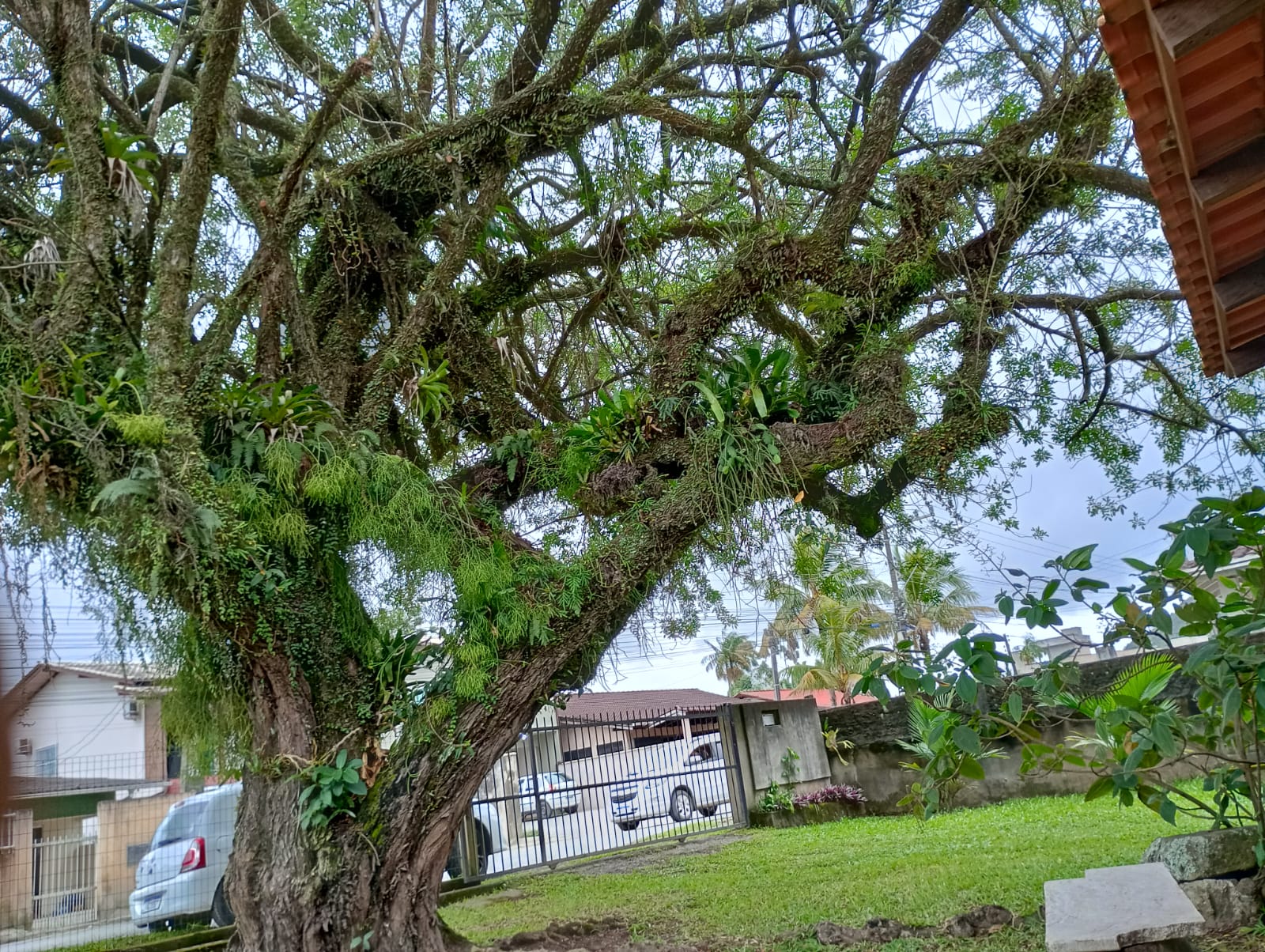 Imagem Chácara com 3 Quartos à Venda, 150 m²em Santa Lídia - Penha