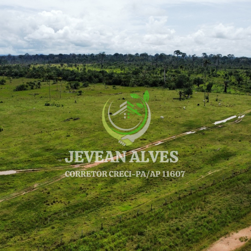 Imagem Fazenda à Venda, 4 m²em Centro  - São Félix do Xingu
