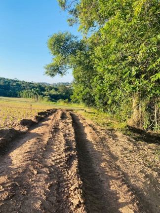 Imagem Terreno à Venda, 1.000 m² em Dona Catarina - Mairinque Imagem Terreno à Venda, 1.000 m² em Dona Catarina - Mairinque