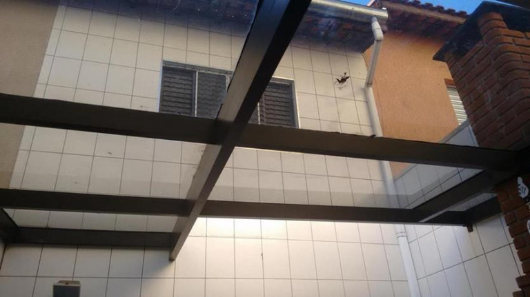Imagem Sobrado com 2 Quartos à Venda, 72 m² em Vila Pierina - São Paulo Imagem Sobrado com 2 Quartos à Venda, 72 m² em Vila Pierina - São Paulo
