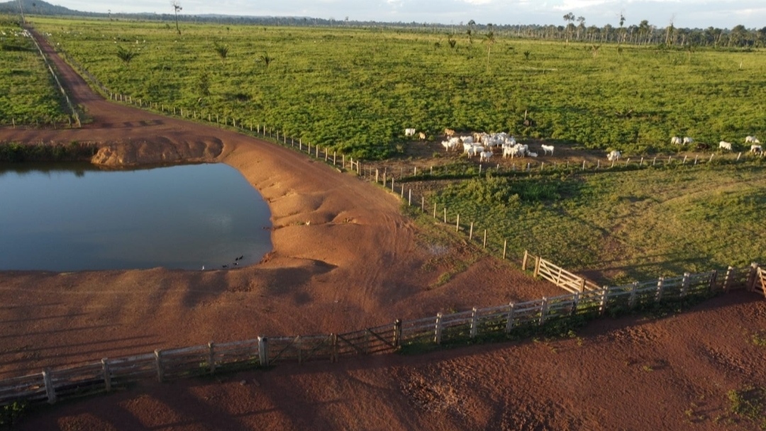 Imagem Fazenda à Venda, 430 m² em Centro - São Félix do Xingu Imagem Fazenda à Venda, 430 m² em Centro - São Félix do Xingu