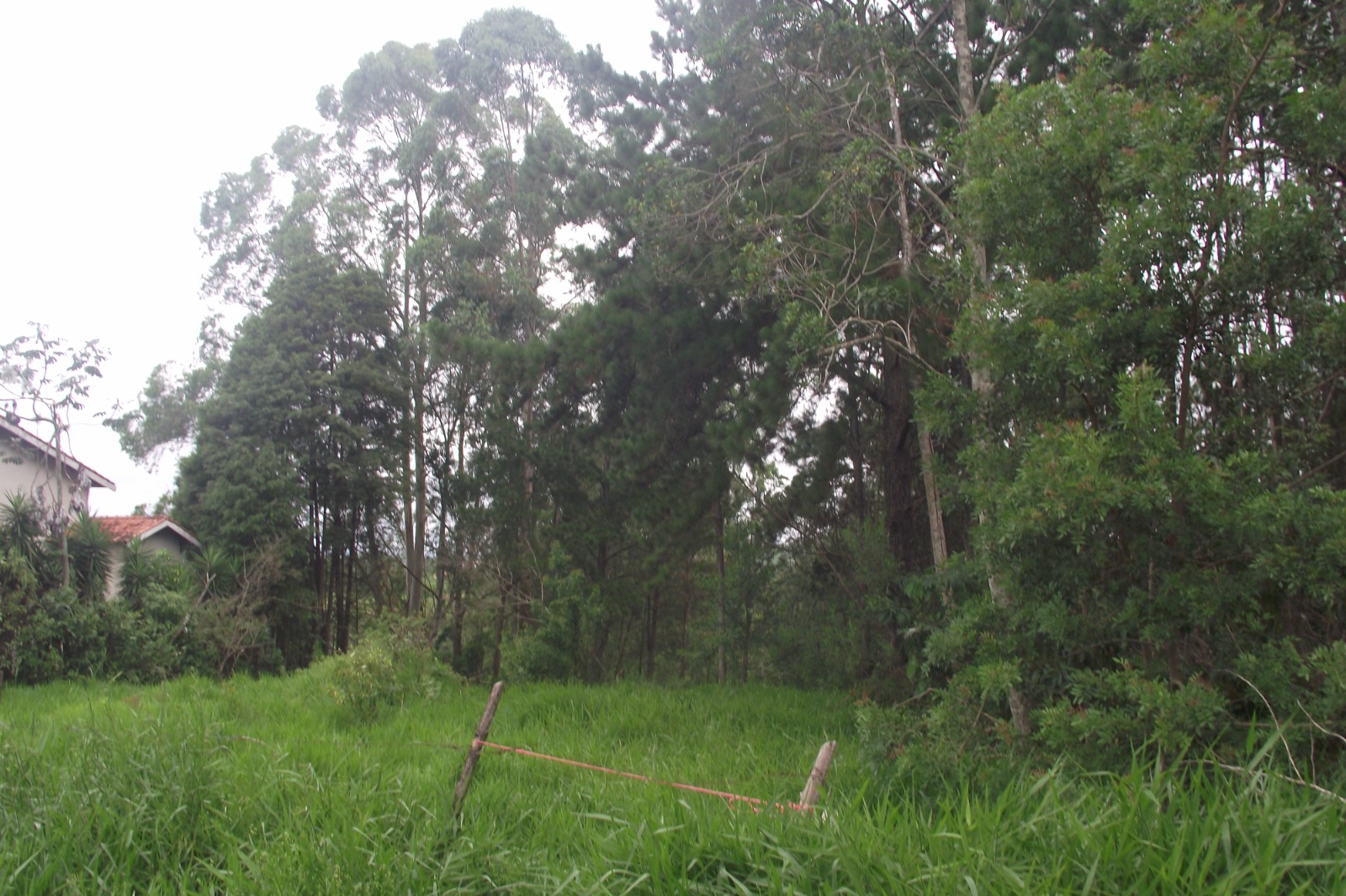 Terreno à Venda, 24.452 m² em Apotribu de Cima - Itu
