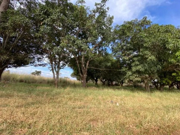 Imagem Terreno à Venda, 7.000 m² em Chácaras Coimbra - Águas Lindas de Goiás