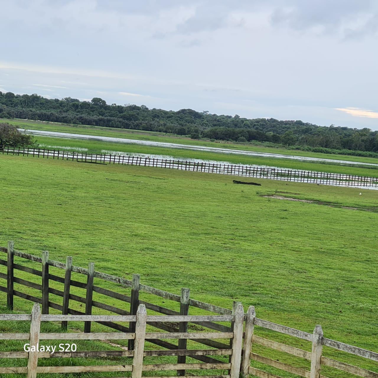 Imagem Fazenda à Venda, 11.970 m² em Zona Rural - Alenquer Imagem Fazenda à Venda, 11.970 m² em Zona Rural - Alenquer