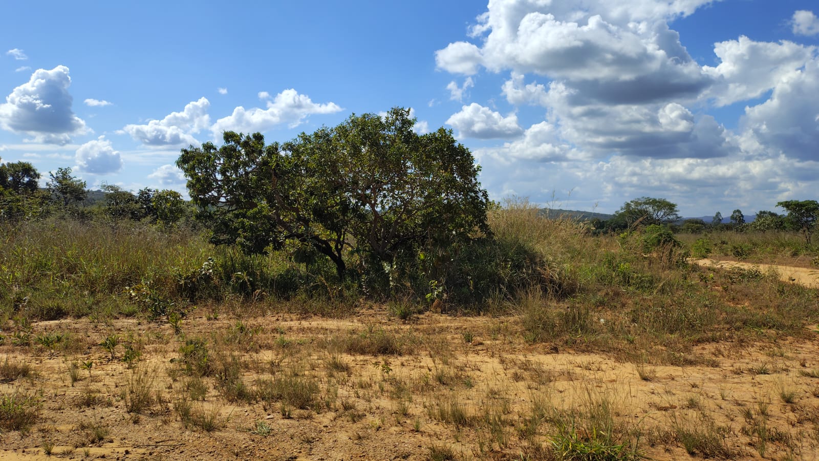 Imagem Terreno à Venda, 467 m² em - Imagem Terreno à Venda, 467 m² em -