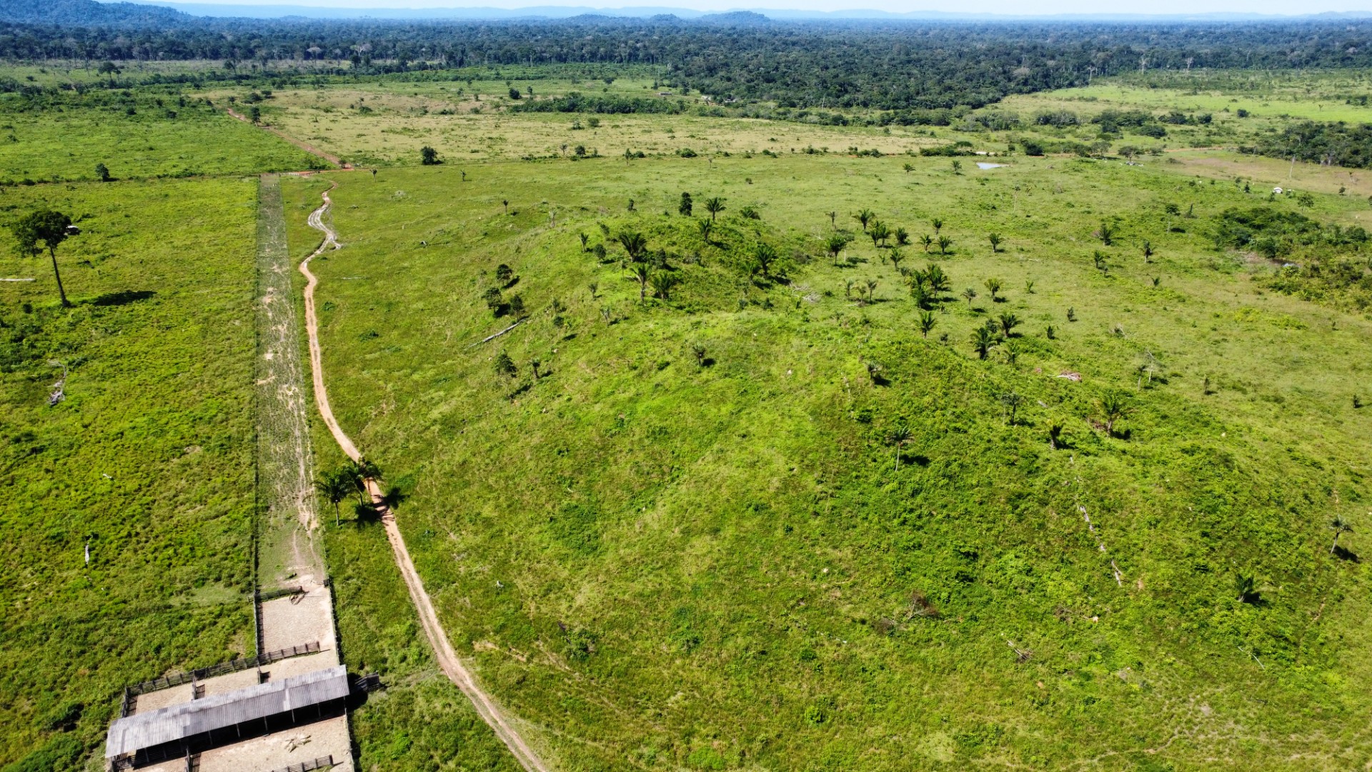 Imagem Fazenda à Venda, 900 Alq MGem Centro - São Félix do Xingu Imagem Fazenda à Venda, 900 Alq MGem Centro - São Félix do Xingu